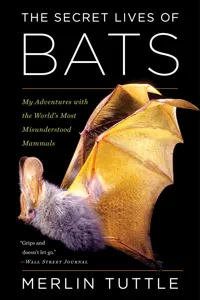 The Secret Lives of Bats_cover