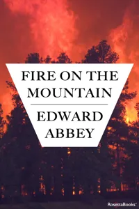 Fire on the Mountain_cover