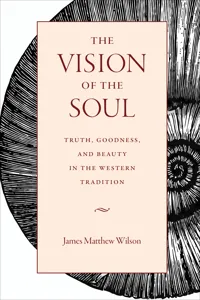 The Vision of the Soul_cover