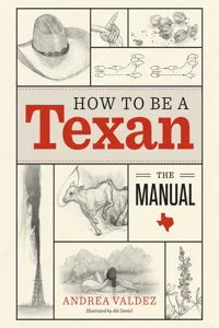 How to Be a Texan_cover