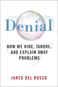 Denial_cover