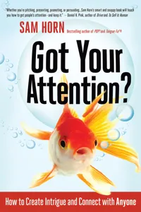 Got Your Attention?_cover