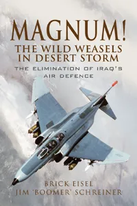 Magnum! The Wild Weasels in Desert Storm_cover