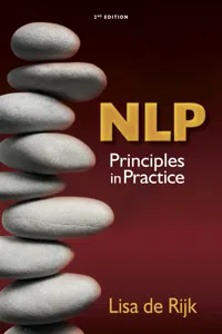 NLP: Principles in Practice_cover