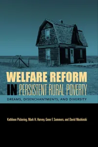 Welfare Reform in Persistent Rural Poverty_cover