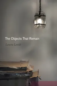 The Objects That Remain_cover