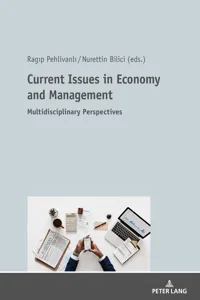 Current Issues in Economy and Management_cover