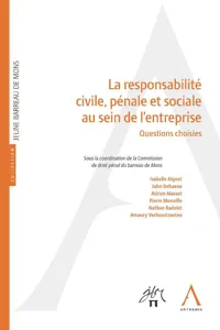 La responsabilité civile, pénale et sociale au sein de l'entreprise_cover