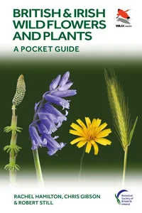 British and Irish Wild Flowers and Plants_cover