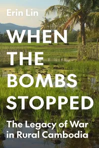 When the Bombs Stopped_cover