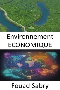 Environnement ECONOMIQUE_cover