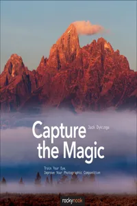 Capture the Magic_cover