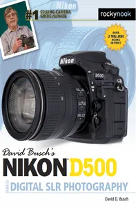 David Busch's Nikon D500 Guide to Digital SLR Photography_cover