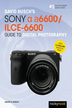 David Busch's Sony Alpha a6600/ILCE-6600 Guide to Digital Photography