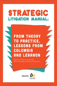 Strategic Litigation Manual_cover