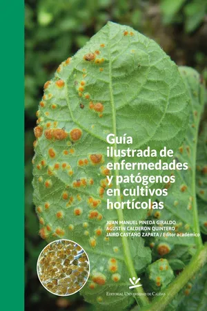 Guía ilustrada de enfermedades y patógenos en cultivos hortícolas