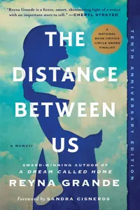 The Distance Between Us_cover