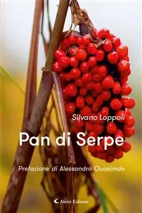 Pan di Serpe_cover