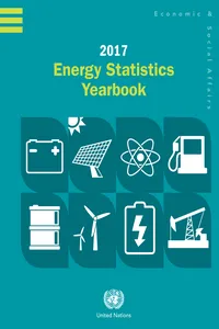 Energy Statistics Yearbook 2017_cover
