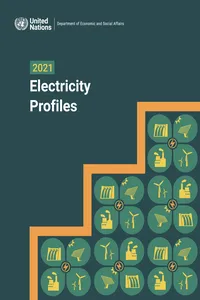 2021 Electricity Profiles_cover