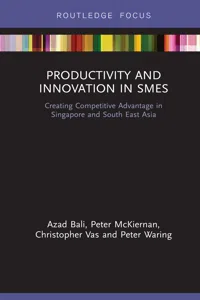 Productivity and Innovation in SMEs_cover