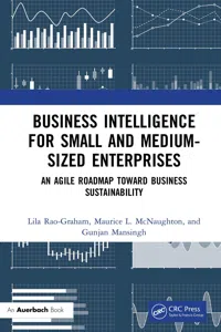 Business Intelligence for Small and Medium-Sized Enterprises_cover