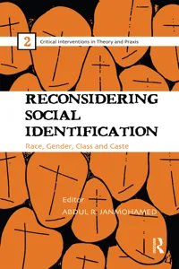 Reconsidering Social Identification_cover