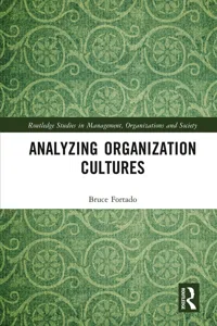 Analyzing Organization Cultures_cover
