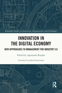 Innovation in the Digital Economy_cover