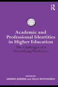 Academic and Professional Identities in Higher Education_cover