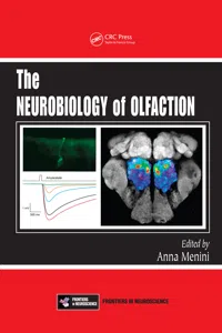 The Neurobiology of Olfaction_cover