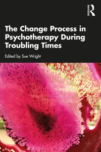 The Change Process in Psychotherapy During Troubling Times_cover