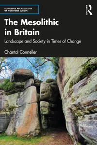 The Mesolithic in Britain_cover