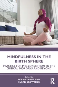 Mindfulness in the Birth Sphere_cover