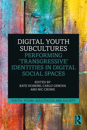 Digital Youth Subcultures
