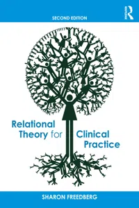 Relational Theory for Clinical Practice_cover