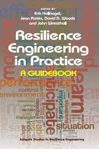 Resilience Engineering in Practice_cover