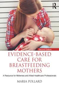 Evidence-based Care for Breastfeeding Mothers_cover
