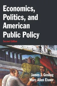 Economics, Politics, and American Public Policy_cover