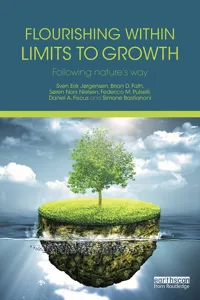 Flourishing Within Limits to Growth_cover