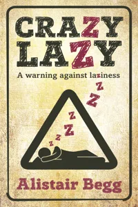 Crazy Lazy_cover