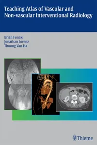 Teaching Atlas of Vascular and Non-vascular Interventional Radiology_cover