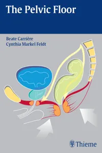 The Pelvic Floor_cover