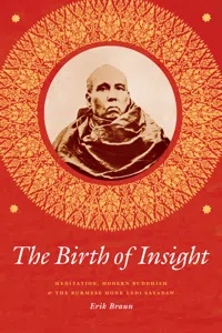 The Birth of Insight_cover