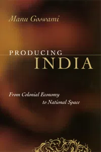 Producing India_cover
