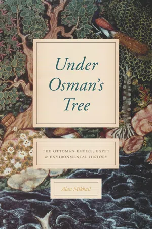 Under Osman's Tree