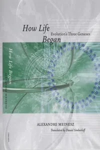 How Life Began_cover