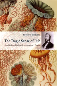 The Tragic Sense of Life_cover