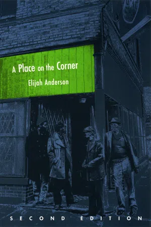 A Place on the Corner, Second Edition