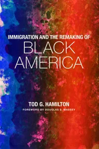 Immigration and the Remaking of Black America_cover